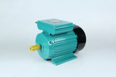 Cast Iron Single Phase Electric Motor 3HP 2 Pole Yc100L